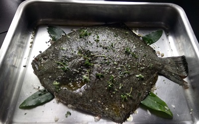 Turbot prepare 1